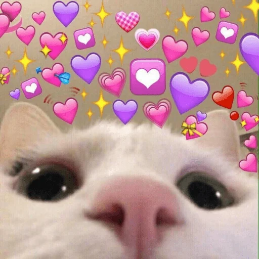 Эмодзи пусть будет мяу