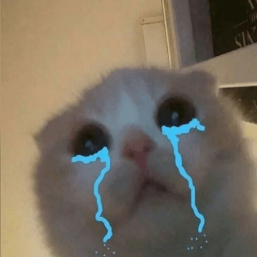 Эмодзи пусть будет мяу