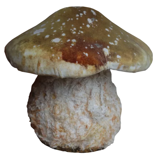 Эмодзи Грибной pack