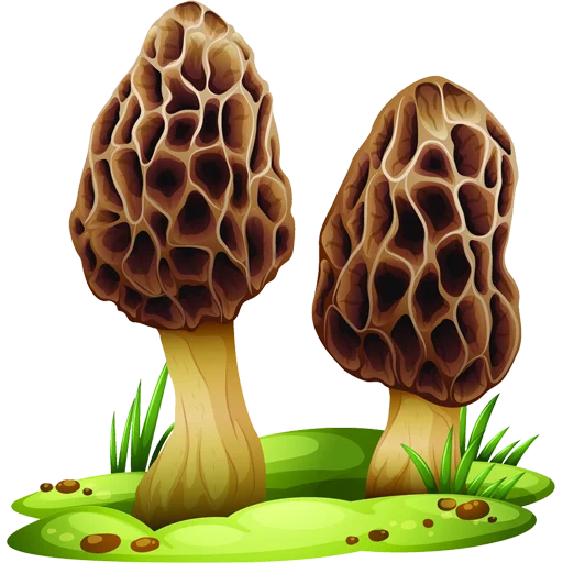 Эмодзи Mushrooms