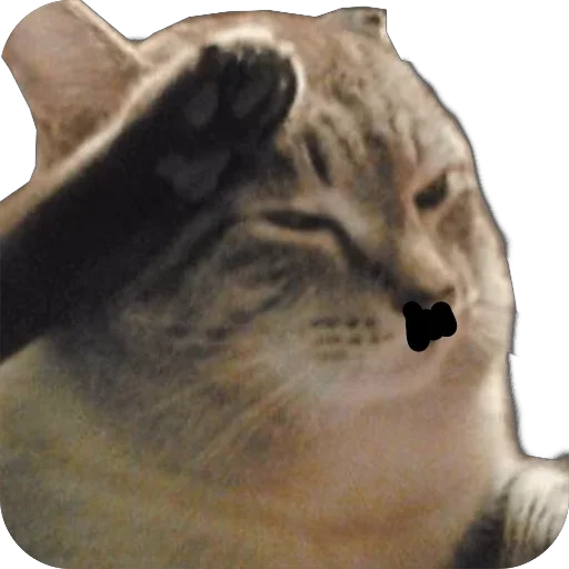 Эмодзи Мои скиторы