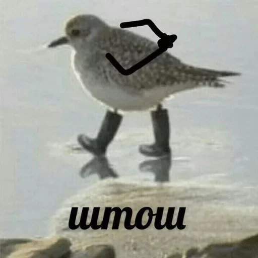 Эмодзи Мои скиторы