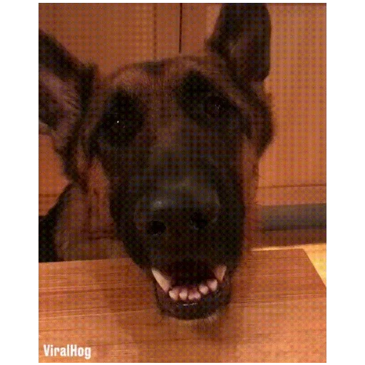 Эмодзи Мягкая шапочка