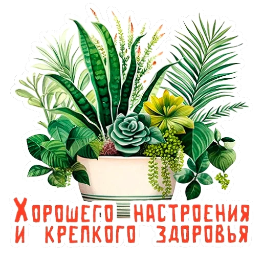 Эмодзи НА УДАЧУ