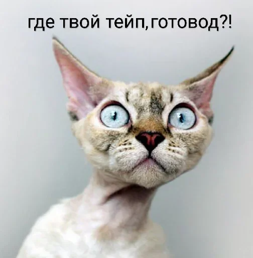 Эмодзи По району на десяточке