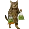 Эмодзи Непослушный кот