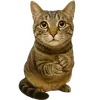 Эмодзи Непослушный кот