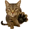 Эмодзи Непослушный кот