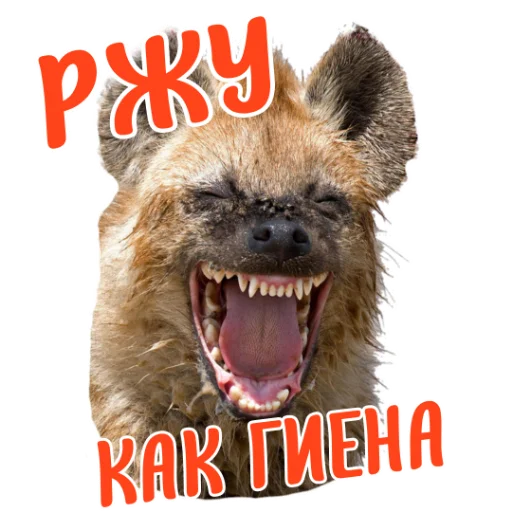 ?
