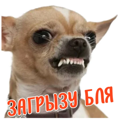Эмодзи Ne ODNA