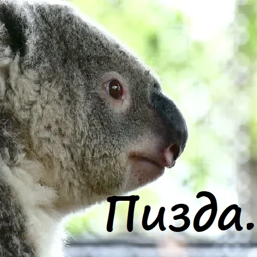 Эмодзи Unpleasant