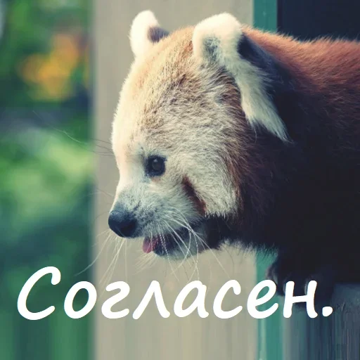 Эмодзи Unpleasant