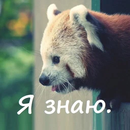 Эмодзи Unpleasant