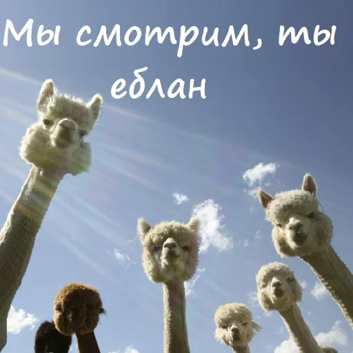 Эмодзи Unpleasant