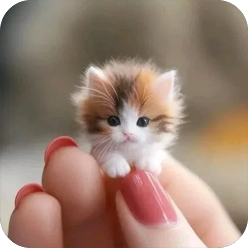 Эмодзи Cute animals