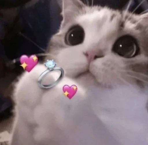 Эмодзи Meow 2