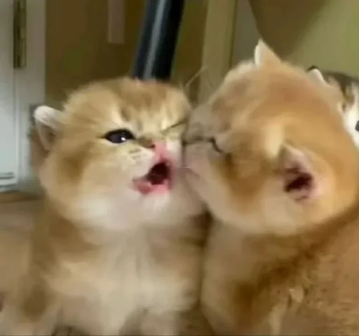 Эмодзи Meow 2
