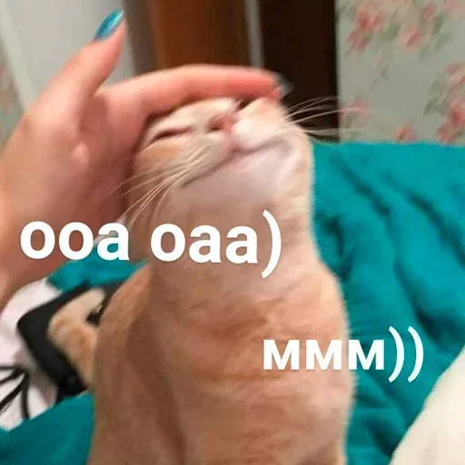 Эмодзи Стики которые мы заслужили
