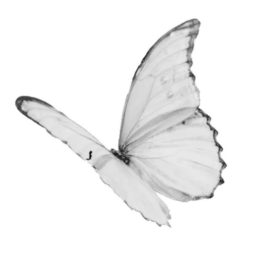 Эмодзи light paradise