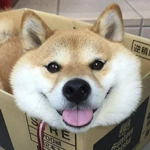 Эмодзи Милые Песики