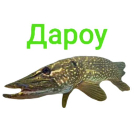 👋