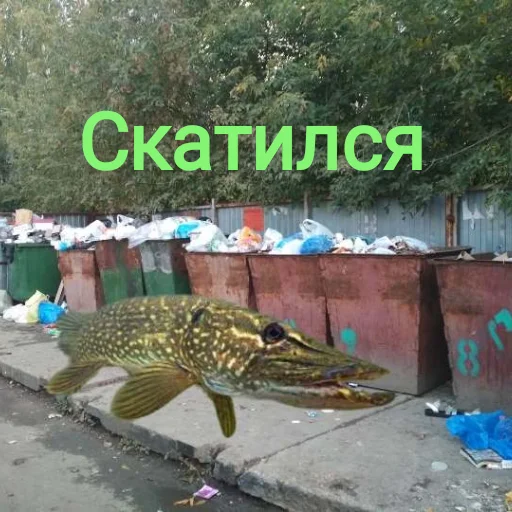 Эмодзи Щука и Окунь | Мемы
