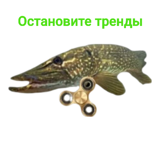 Эмодзи Щука и Окунь | Мемы