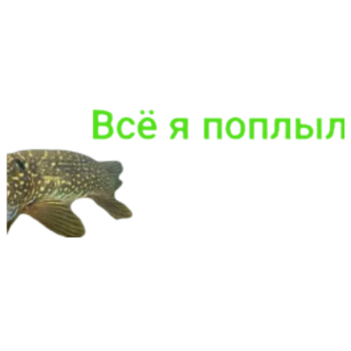 Эмодзи Щука и Окунь | Мемы