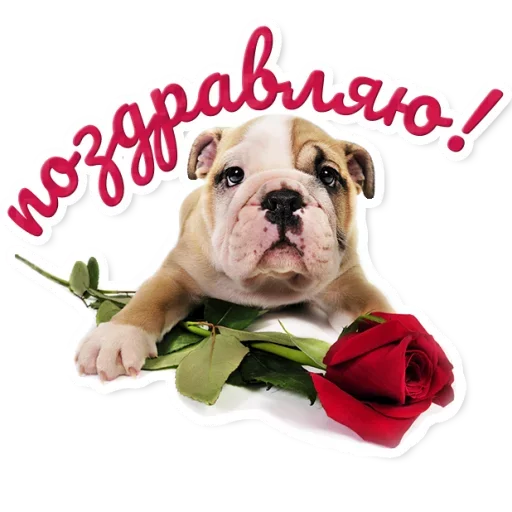 Эмодзи Милые Питомцы