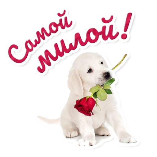 Эмодзи Милые Питомцы