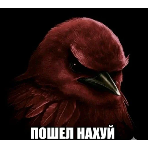 Эмодзи Birds Memes