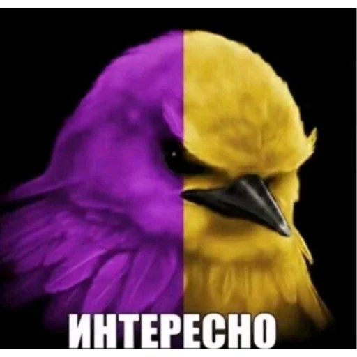 Эмодзи Birds Memes