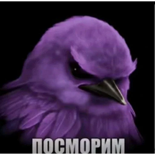Эмодзи Birds Memes
