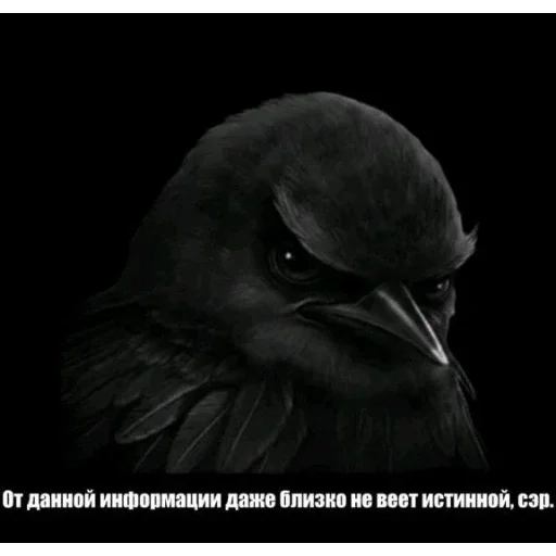 Эмодзи Birds Memes