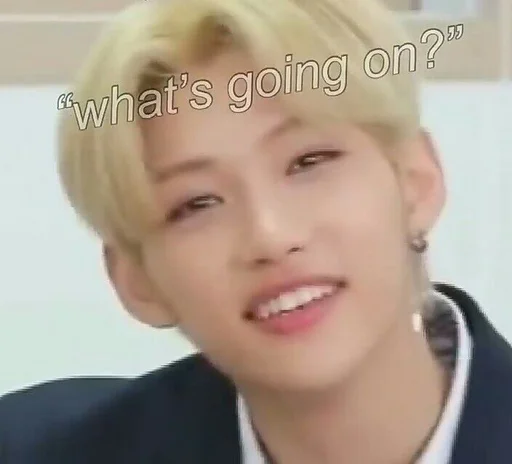 Эмодзи StrayKids