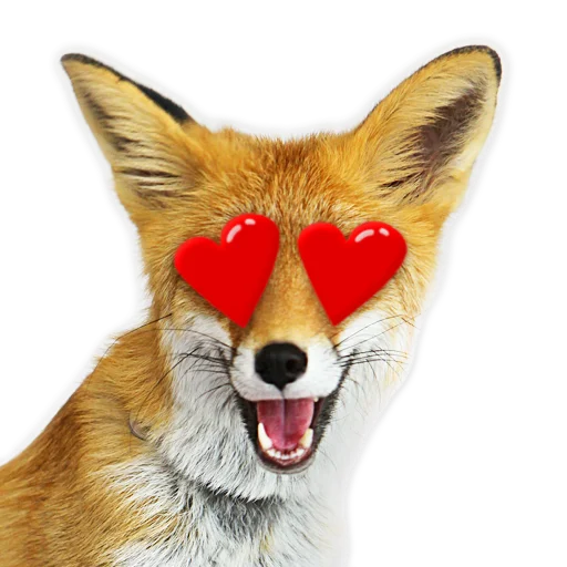 😍