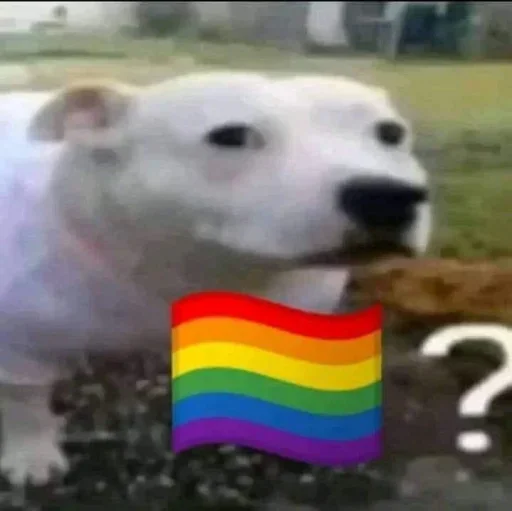 Эмодзи No gays!