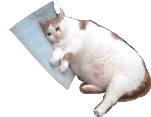 Эмодзи Regretti Spaghetti