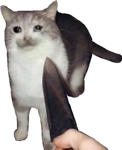 Эмодзи Regretti Spaghetti