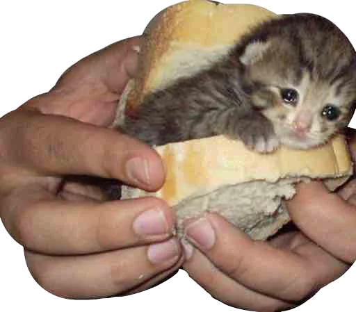 Эмодзи Regretti Spaghetti