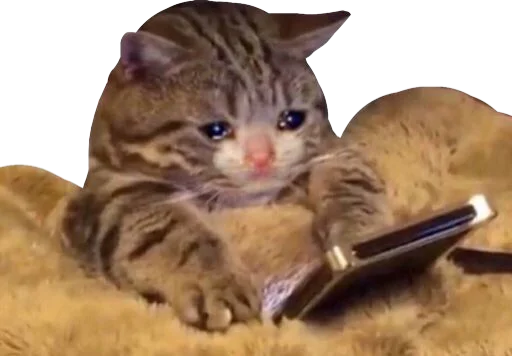 Эмодзи Regretti Spaghetti