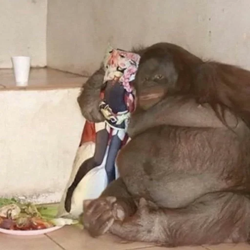 Эмодзи Обезьяны Кэндис 4