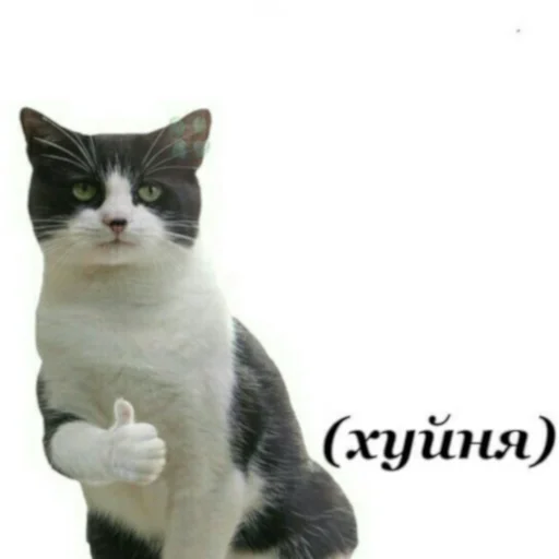 Эмодзи Сборник мемов