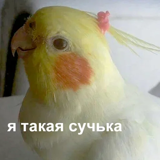 Эмодзи Лол(^_-)