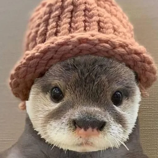 Эмодзи otter