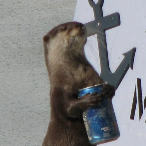 Эмодзи otter