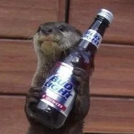 Эмодзи otter