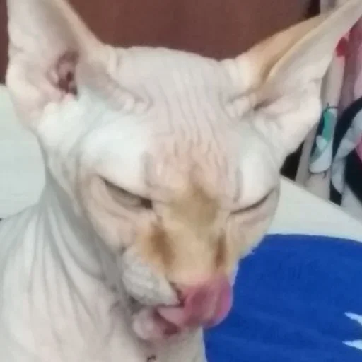 Эмодзи О мои глаза