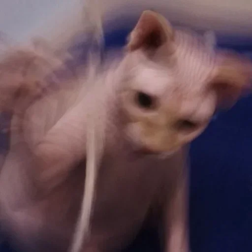 Эмодзи О мои глаза