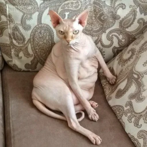 Эмодзи О мои глаза